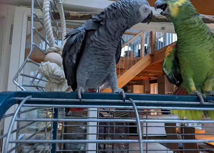 Eichhof, - Lueneburger Heide * Garlstorf