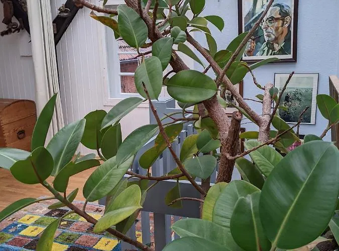 Eichhof, - Lueneburger Heide