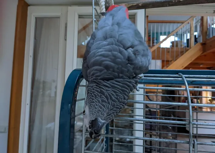 Eichhof, - Lueneburger Heide