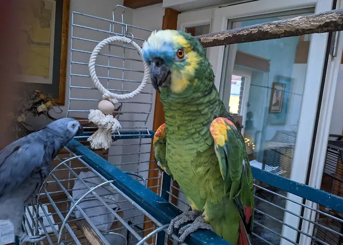 Eichhof, - Lueneburger Heide Appartement